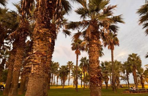 Brisa Marina - Foto 18