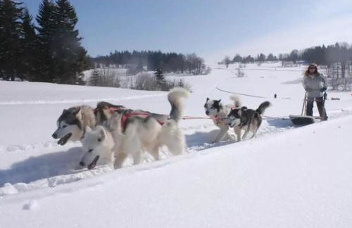 Col de la Faucille Apartment - Foto 7