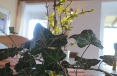 Alpaka-Ferien - Foto 28