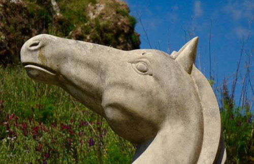 Ciuci's Manor - Foto 19