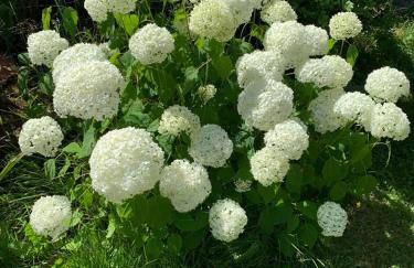 Maison neuve avec piscine chauffée, 4 kms de Contis plage - Foto 12