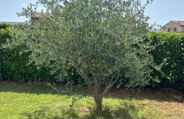 Istrian Villa Melany - Foto 50