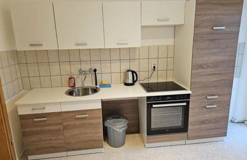 Leuna bei Leipzig & Halle - 2 Apartments mit je 3 Schlafzimmern, Küche, Bad - Foto 35