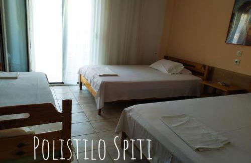 Polistilo Spiti - Foto 61