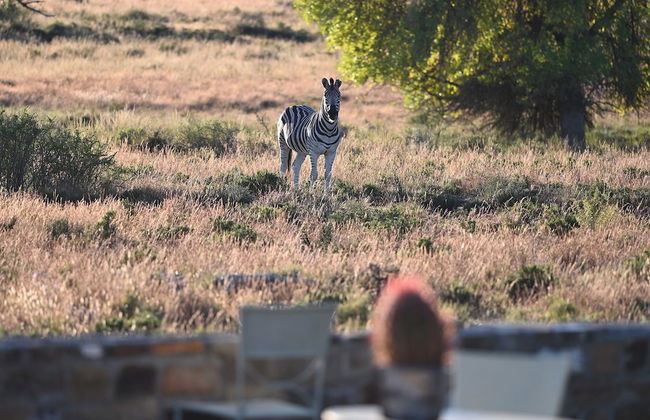 Sneeuberg Nature Reserve - Foto 40