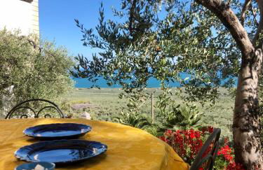 Villa in Gargano - VILLA BASSO - Foto 33