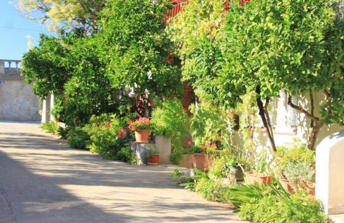 Apartments by the sea Ugljan - 8423 - Foto 7