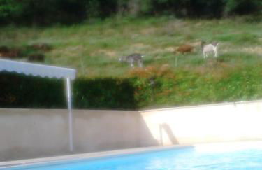 LES TILLEULS - Foto 10