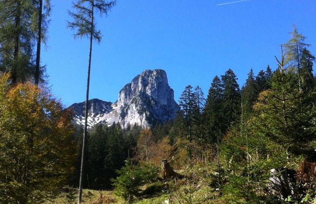 Holiday Apartment Alpenstern - Foto 15