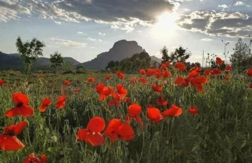 Casa Rural Campanilla - Foto 49