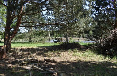 Newland Wójtowicz - Foto 57