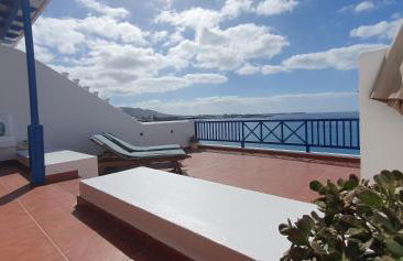 Erizo de mar - Foto 9