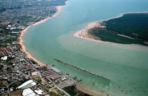 Aires de Doñana. Piscina y Playa. Parking gratis. - Foto 42