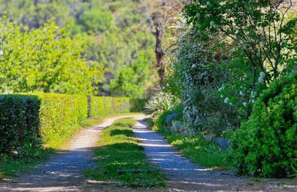 Le Laurier - Piscine, Sauna et Vue - Charme Provençal Authenticité - Bastide La Parette - Foto 35