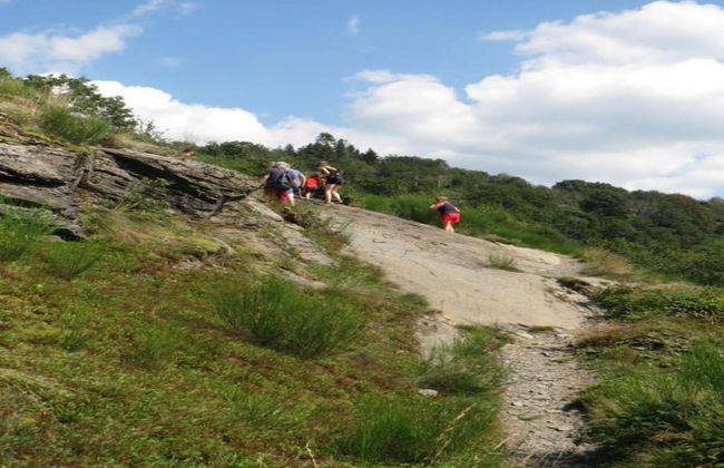 Holiday Home in Ardennes With Sauna - Photo 40