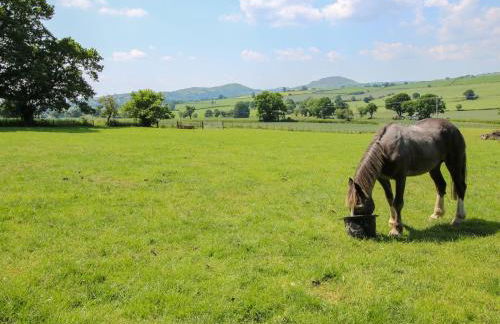 The Olde Cow House - Foto 50