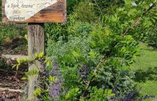 Ruralna kuća za odmor Pozojova hiža - Rural Holiday House - Foto 48