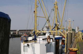 Ferienwohnungen Zum Goldenen Anker - Foto 31