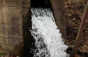 The Varnadoe Villa- Farm Stay - Foto 54