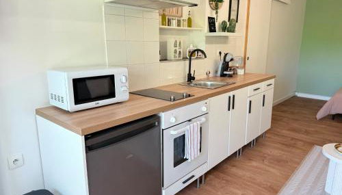 Appartement idéal à 10 min de Disney pour 4 pers - Foto 4, stove