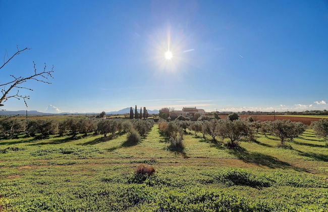 Finca Son Valls - Photo 36