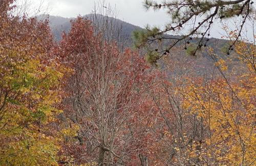 Beech Creek Cabin, lower unit, Black Mountain - Foto 44