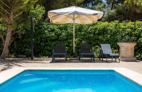 Pomeres Nou - Foto 18