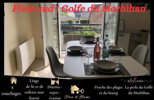 Plein sud - Golfe du Morbihan - Foto 1