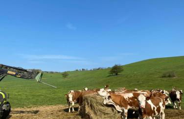 Ferienhaus Alte Försterei im Harz - Urlaub auf dem Bauernhof - Foto 18