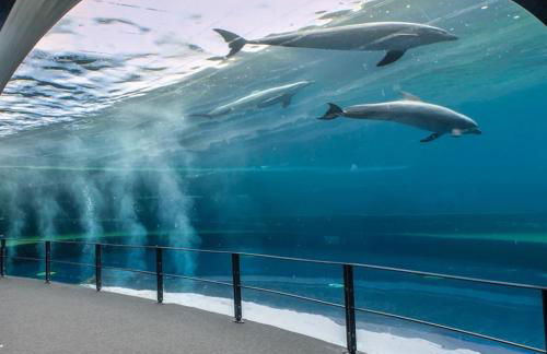 La Maison di Francesco - Foto 34