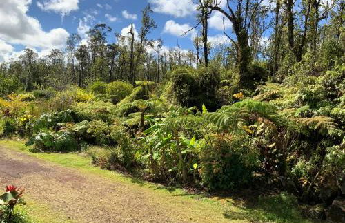 Simply convenient tropical country studio - Foto 34