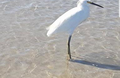 Casa Veraneio família Matos - Photo 24