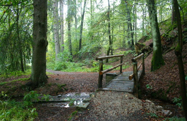 Apartment Jagdschlosschen, Bad Sachsa - Foto 74