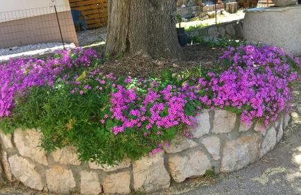 Apartments Krušvina - Foto 70