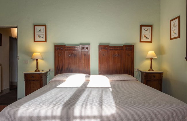 Agriturismo I Bonsi - Foto 10