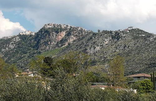 L'oasi di Alice - Foto 19