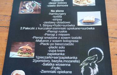 Bieszczady noclegi ,,U Andrzeja'' - Foto 12