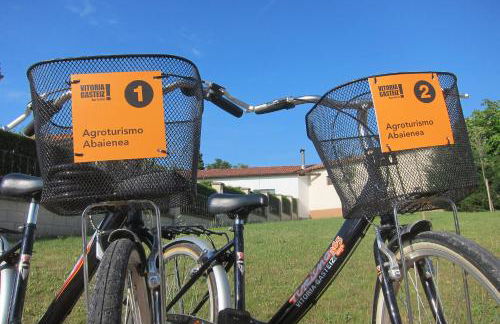 Agroturismo Abaienea - Foto 16