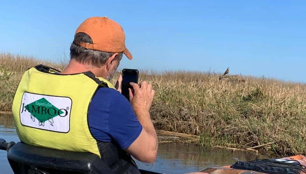 Fotografiando la fauna salvaje