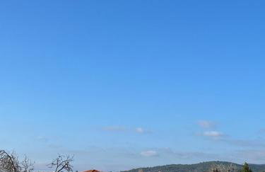 Artion Alfa Luxury - Photo 41