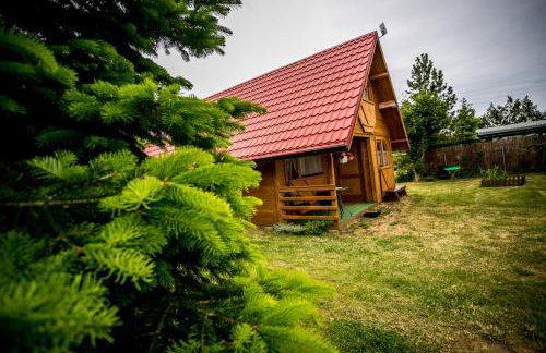 Villa Zastań - Photo 9