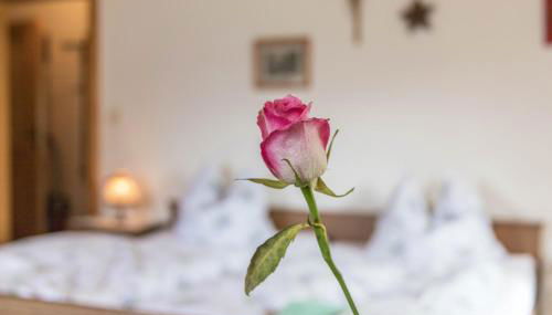 Ferienwohnung Oberrißglück - Foto 3