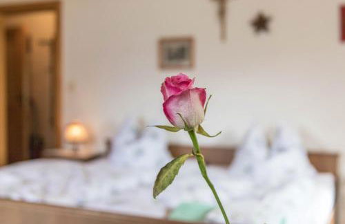 Ferienwohnung Oberrißglück - Foto 3