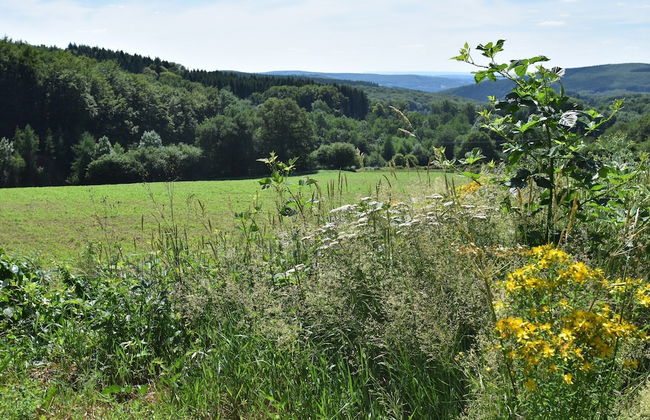 Boutique Holiday Home in Bouix With Garden - Foto 58