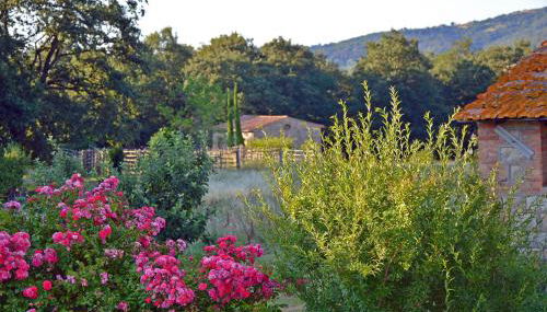 Pò delle Buche - Photo 5, Garden view