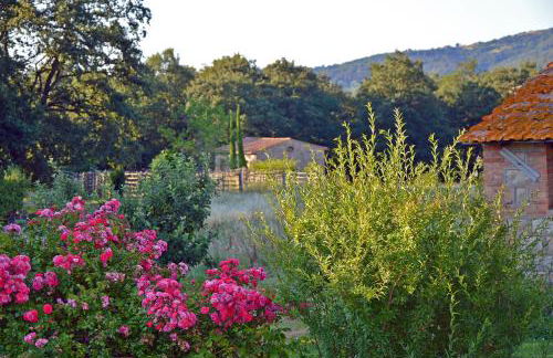 Pò delle Buche - Photo 5