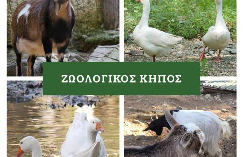 Στουντιο στο Πανοραμα - Foto 30