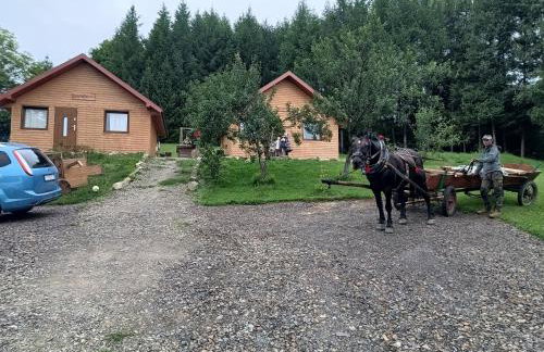 BIESZCZADZKA Antosiówka - Foto 1