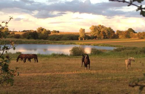 Gemütliche, kleine Ferienwohnung im Küstenland - Foto 22