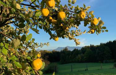Romantik Unterkünfte Gut Rechetsberg - Foto 11